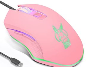 Huifen Wired USB C Gaming Mouse