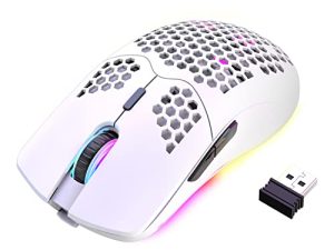 Wireless Gaming Mouse Lightweight Honeycomb Design 3200 DPI Rechargeable Gaming Mouse with 16 Rainbow Backlit