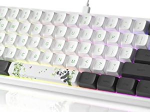 CHARAN SK61 61 Keys Mechanical Gaming Keyboard
