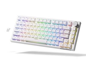 LTC NB831 Wireless 75% Triple Mode BT5.0/2.4G/USB-C Wired Hot Swappable Mechanical Keyboard