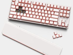 Hexgears X3 TKL 2.4ghz Wireless Mechanical Keyboard with Gold Kailh Box Switches