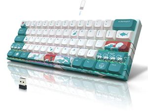 COSTOM XVX M61 60% Wireless Mechanical Keyboard