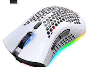 Wireless Lightweight Gaming Mouse Honeycomb with 7 Button Multi RGB Backlit Perforated Ergonomic Shell Optical Sensor Adjustable DPI Rechargeable 800mAh Battery USB Receiver for PC Mac Gamer(White)