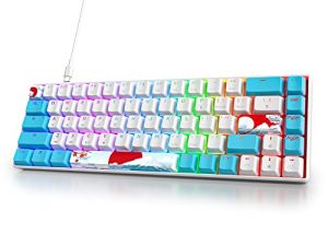 Owpkeenthy Wired 65% Mechanical Gaming Keyboard with Blue Switch Ultra Compact RGB Gaming Keyboard Backlit Keys N-Key Rollover for PC Gamer(Blue/ 68 Blue Switch)