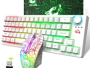FELICON 2.4G Wireless Mini Gaming Keyboard and Mouse Combo