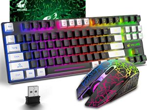 ZIYOU LANG T87 Wireless Gaming Keyboard and Mouse Combo with Rainbow LED Backlit Rechargeable 3800mAh Battery Mechanical Feel Antighosting+7D 2400DPI Mice Mousepad for PC Mac Window Gamer(Blackwhite)