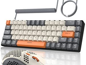 ZIYOU LANG RK-T8PR0 Wired 65% Mechanical Gaming Keyboard and Mouse Combo with RGB Backlit Anti-ghosting TKL Mini 68 Key Coiled C to A Cable Tactile Blue Switch for PS4 PS5 Xbox PC Mac Gamer(Dark Gray)